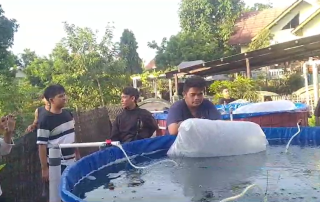 Penebaran Ikan